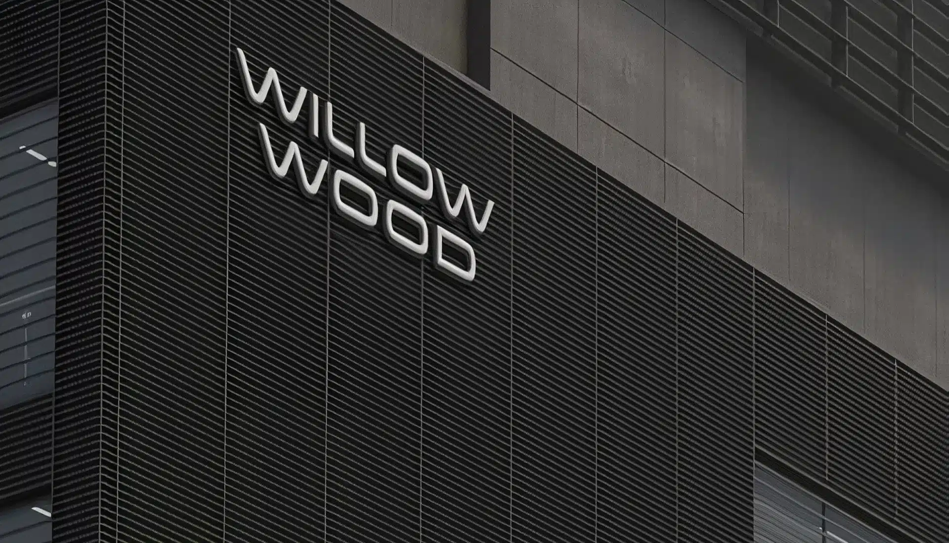 DD.NYC® x WillowWood Global