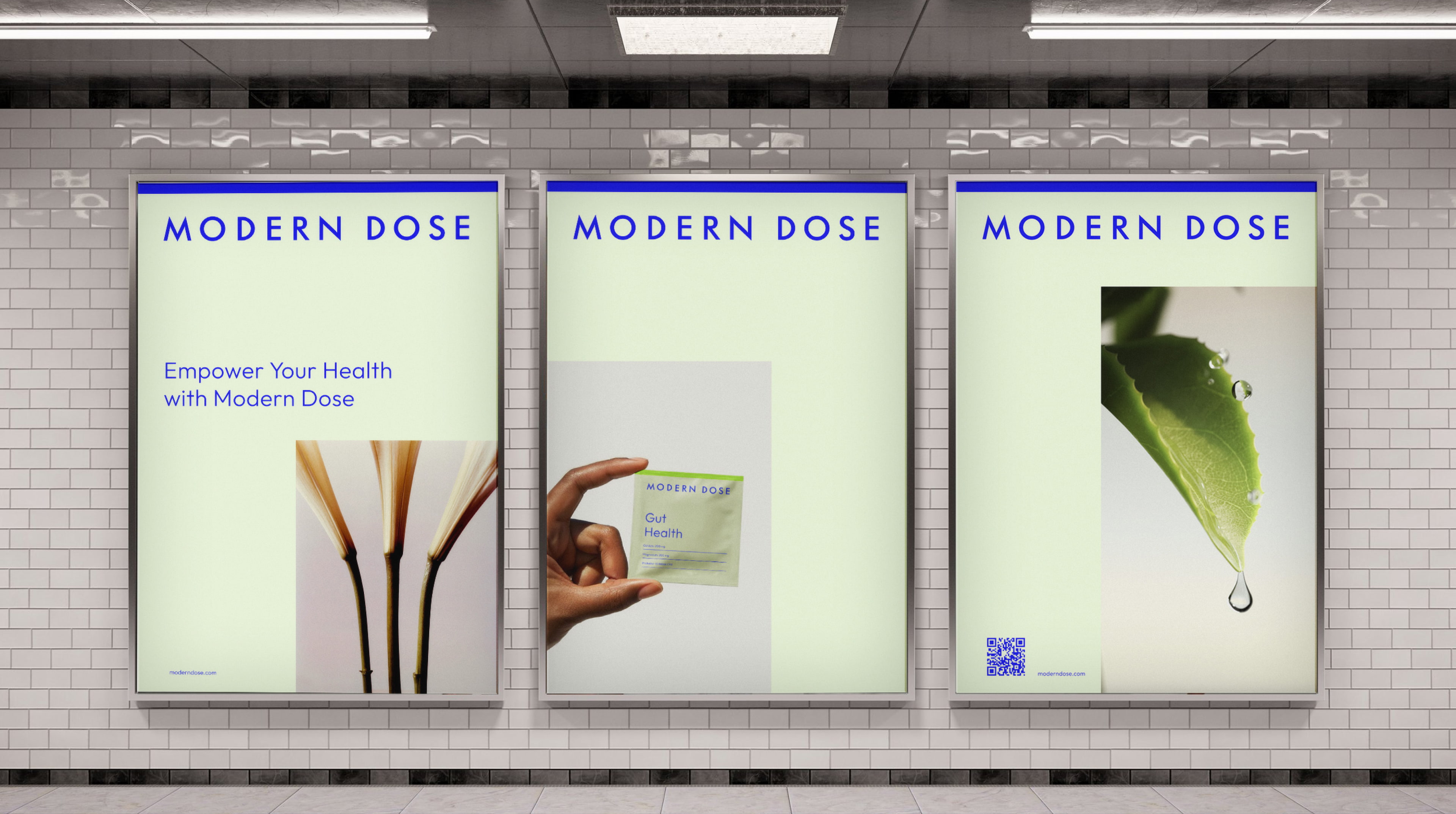 Modern Dose by DD NYC