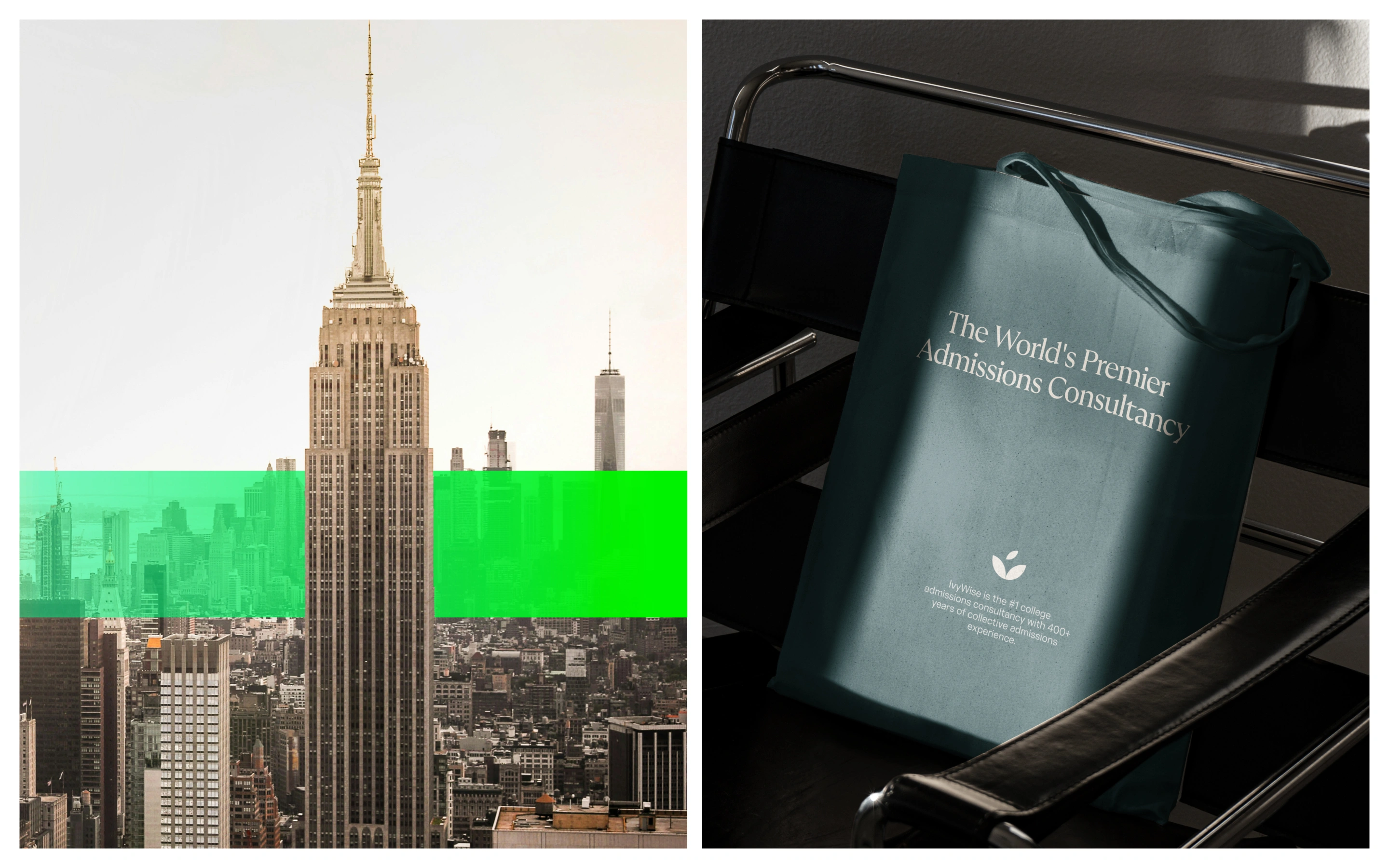 IvyWise by DD.NYC® | Branding & Web Design