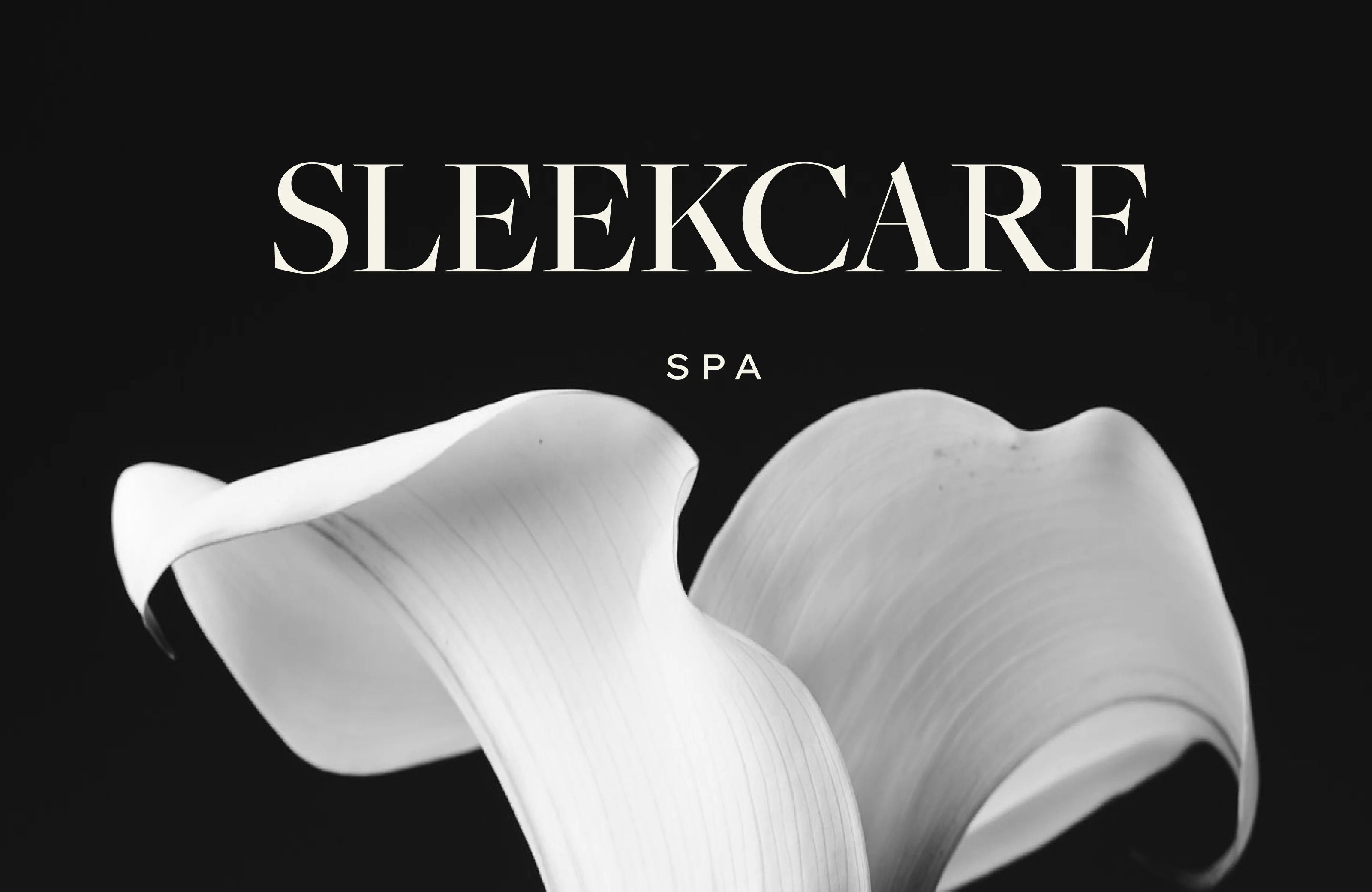 SleekCare SPA Beauty Branding by DD.NYC®️