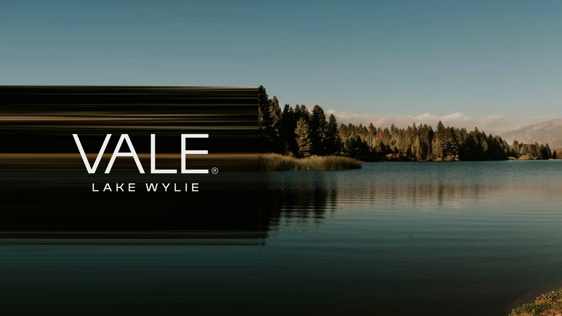 VALE Lake Wylie Charlotte North Carolina Real Estate Branding & Website by DD.NYC®️