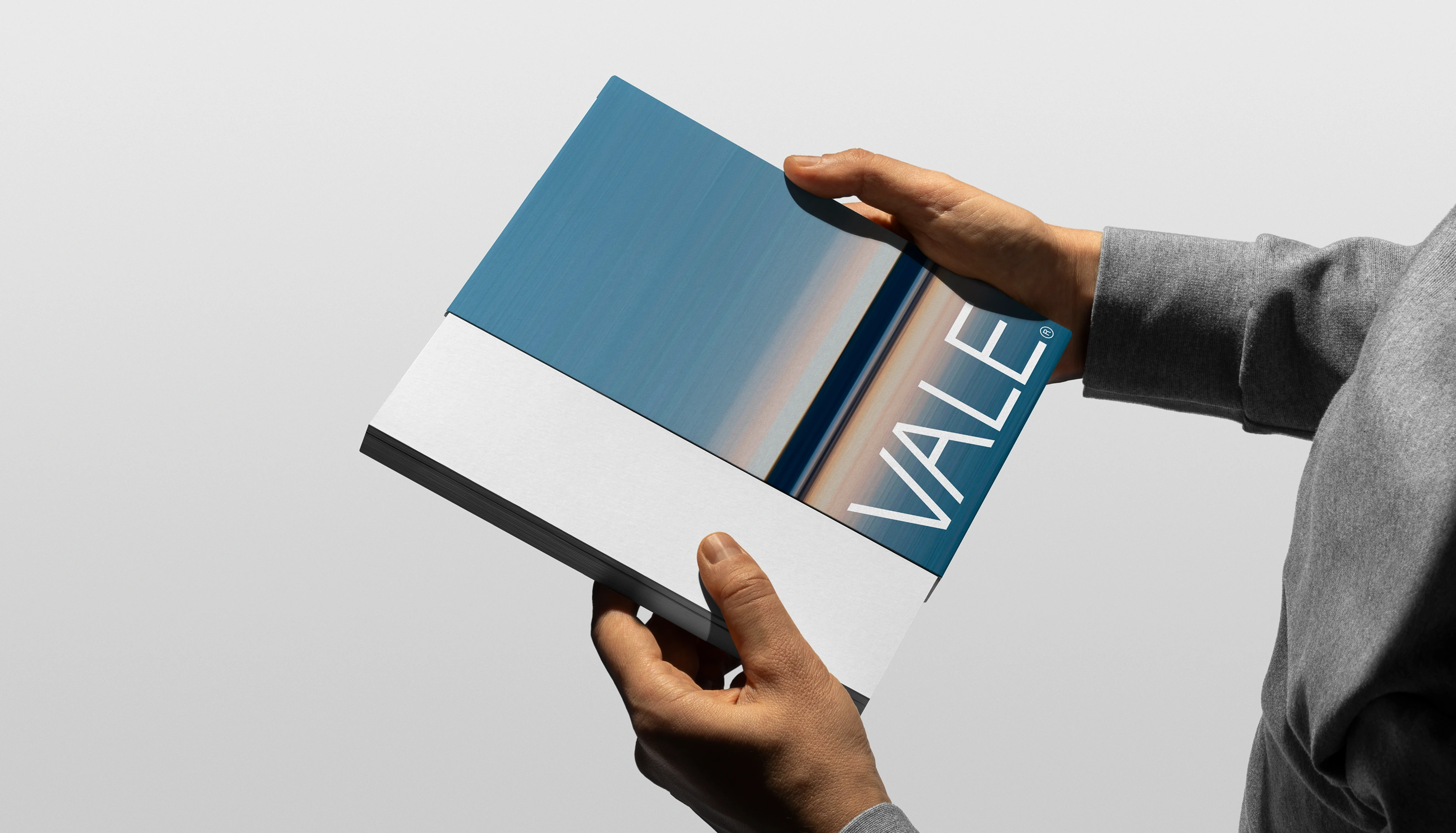 VALE Real Estate Branding & Website by DD.NYC®