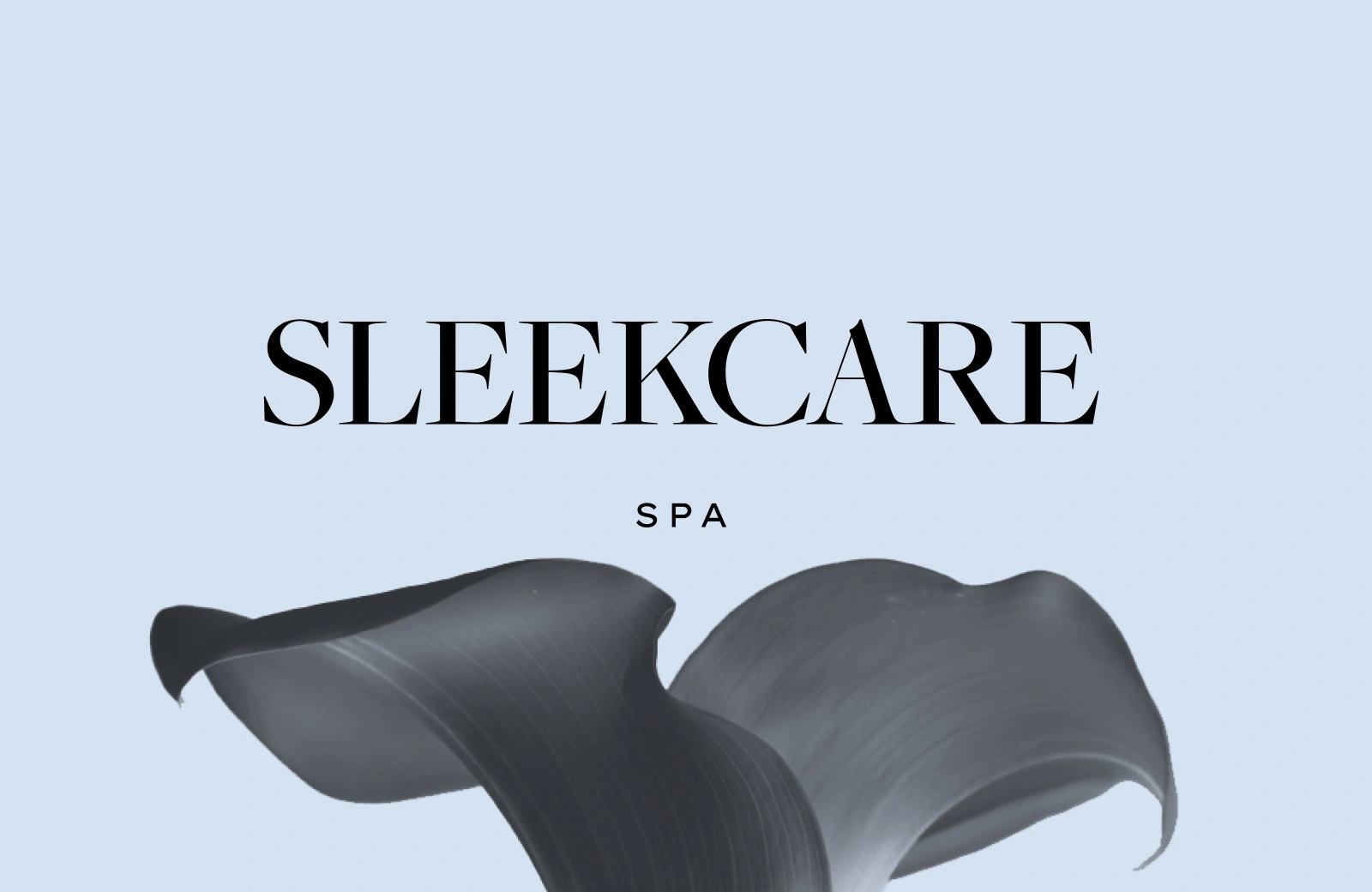 SleekCare SPA Beauty Branding by DD.NYC®️