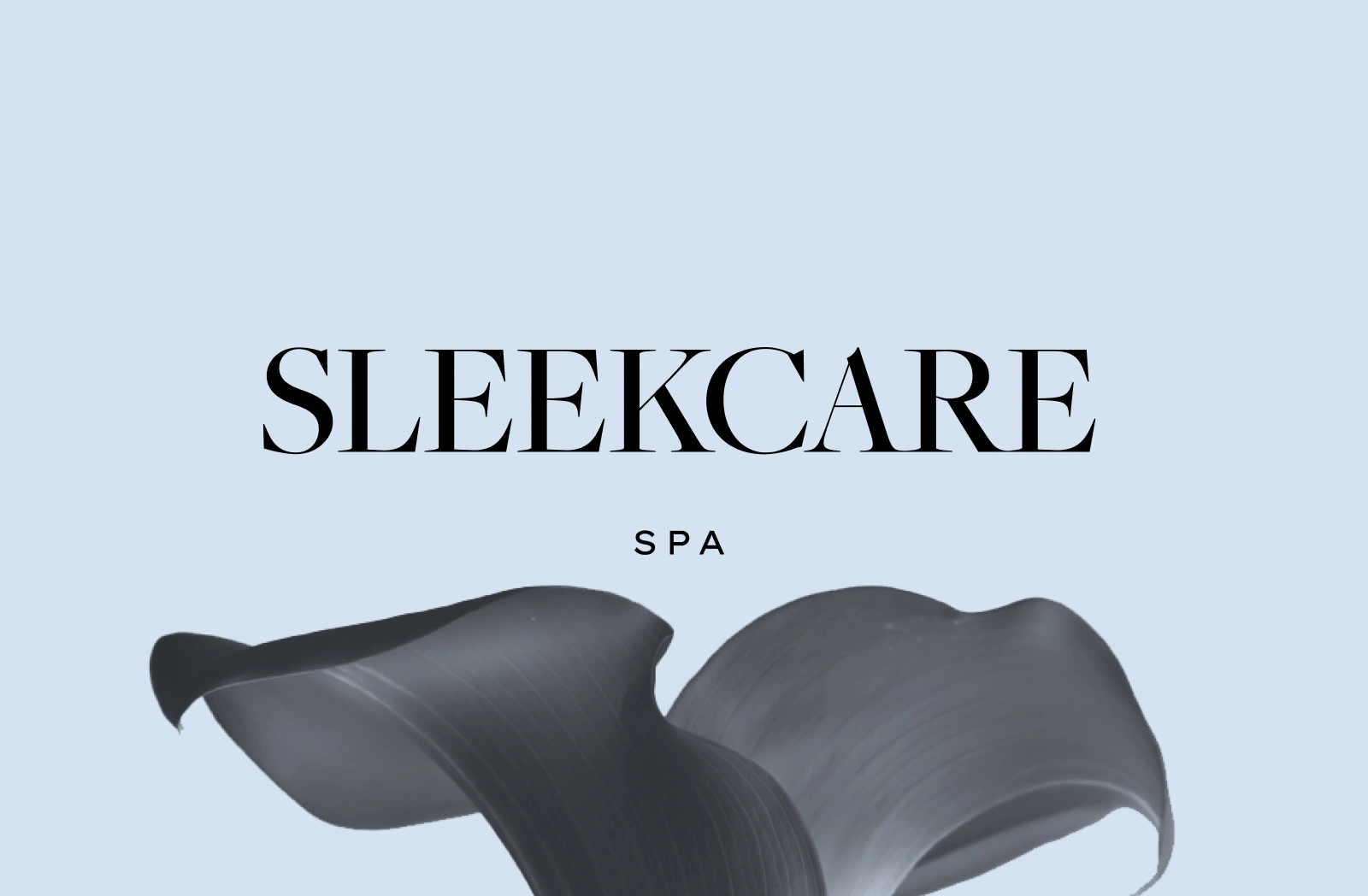 SleekCare SPA Beauty Branding by DD.NYC®️