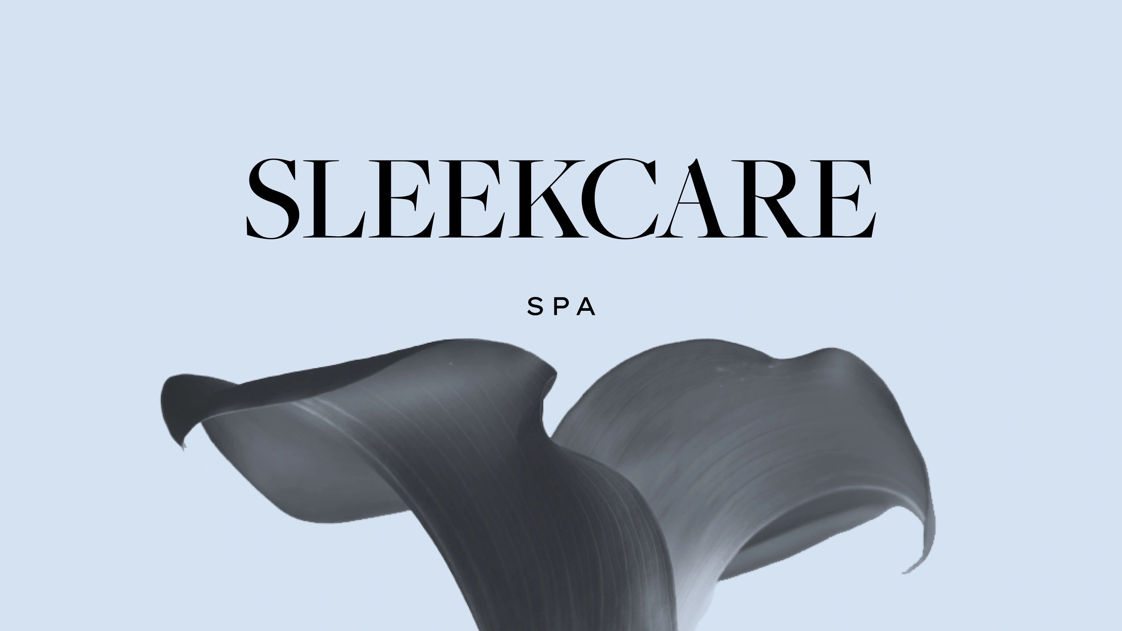 SleekCare SPA Beauty Branding by DD.NYC®️