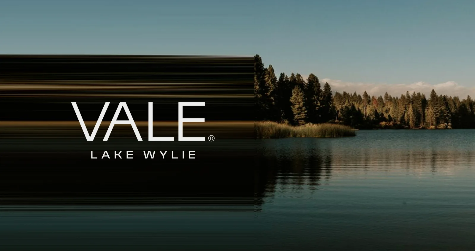 VALE Lake Wylie Charlotte North Carolina Real Estate Branding & Website by DD.NYC®️