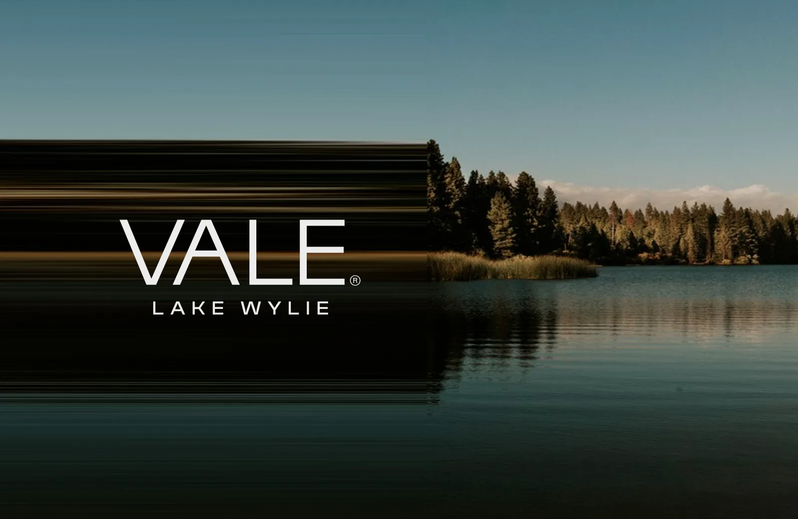 VALE Lake Wylie Charlotte North Carolina Real Estate Branding & Website by DD.NYC®️