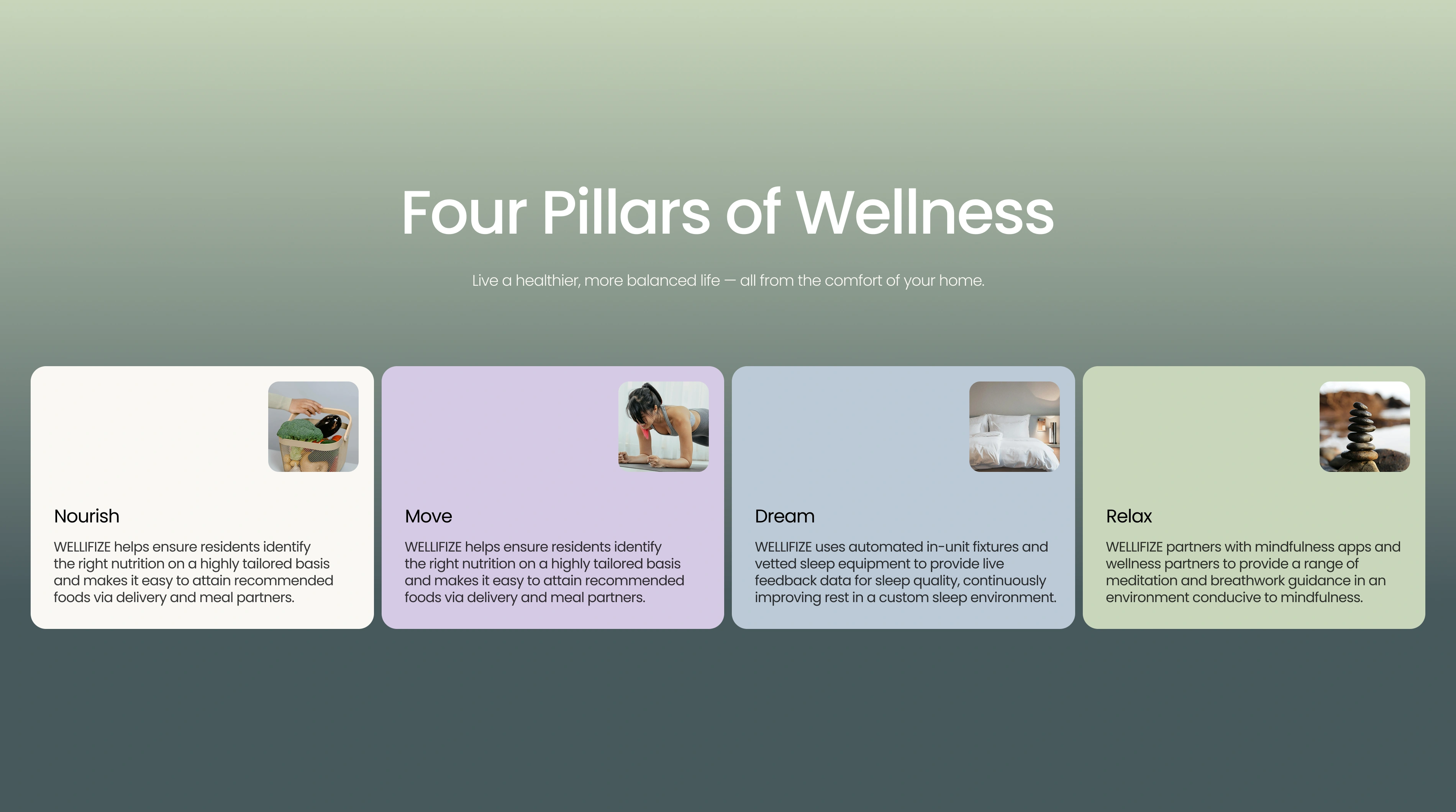 WELLIFIZE Branding, Web Design & App UI/UX by DD.NYC®