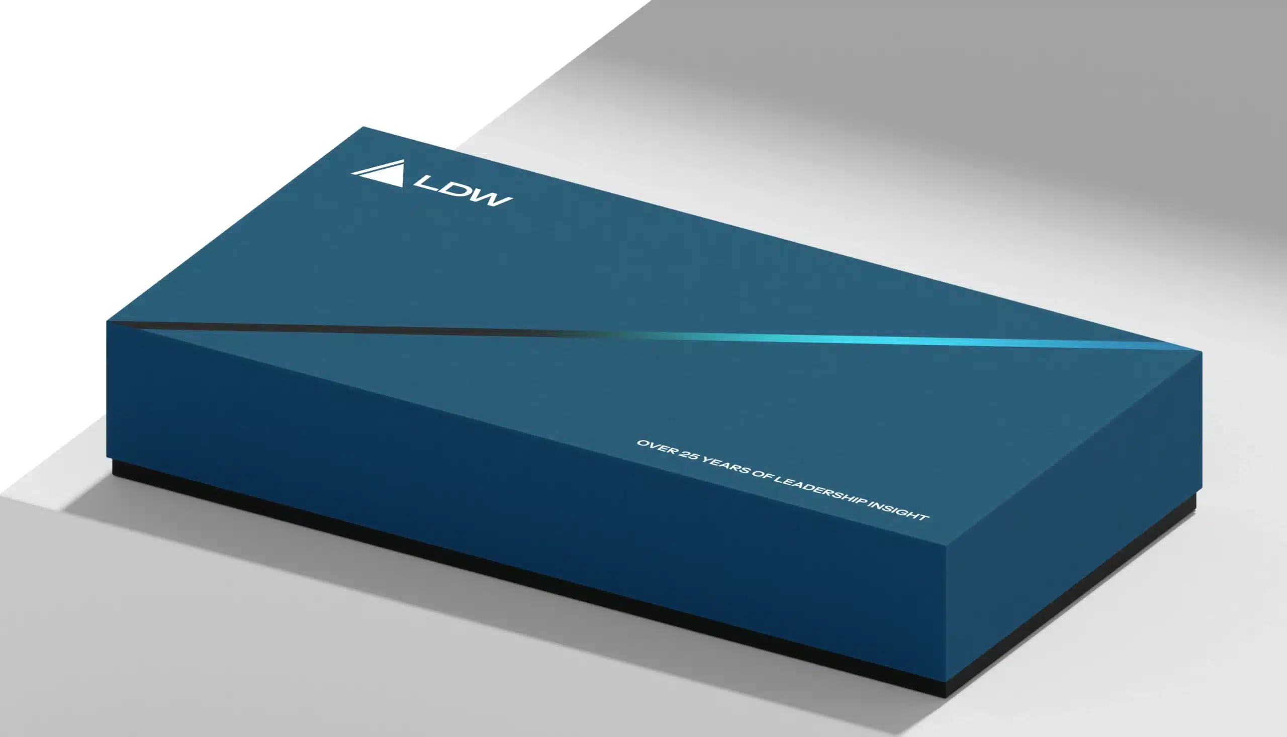 LDW Global Consulting Firm by DD.NYC® | Branding & Web Design