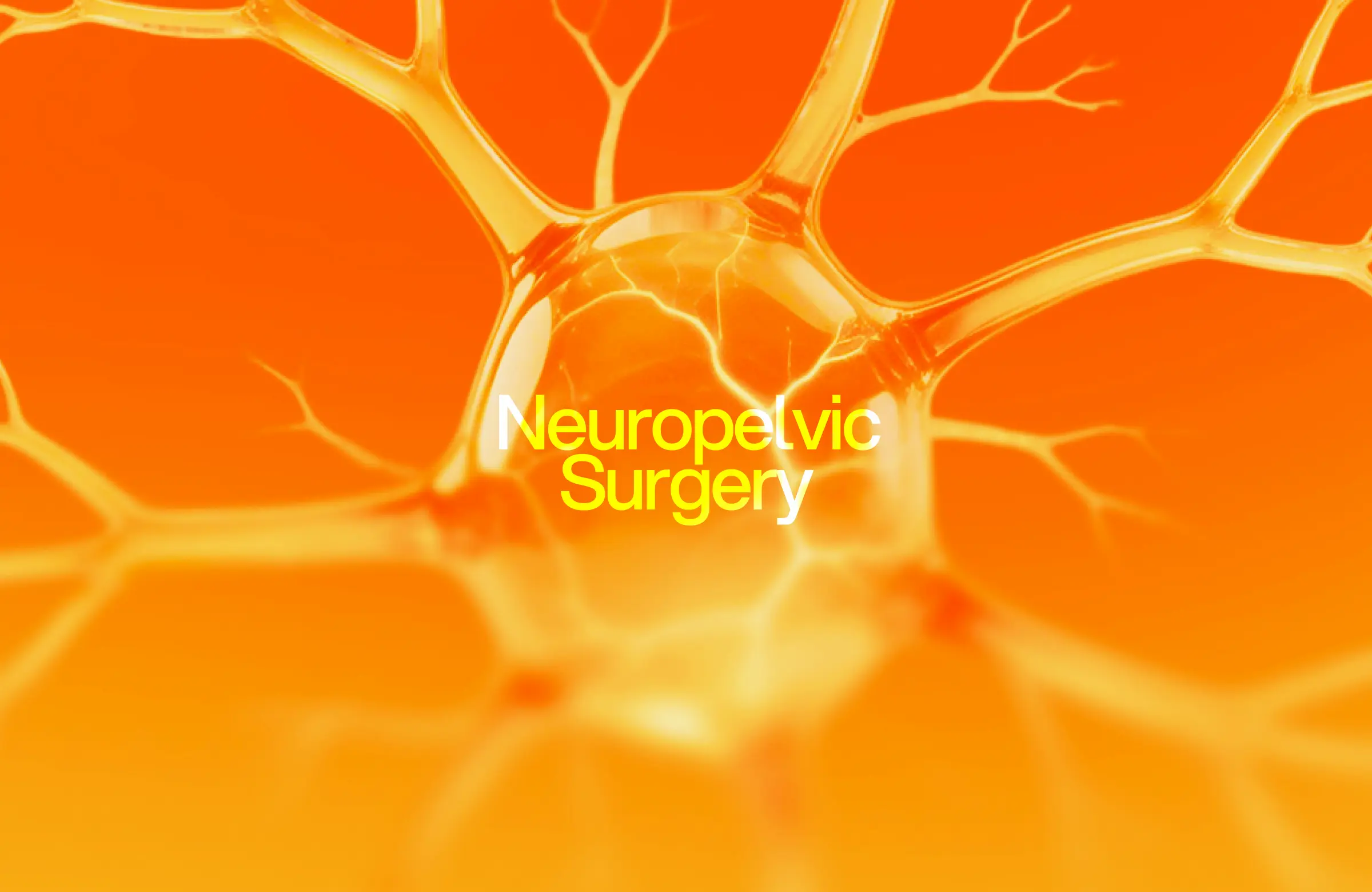 Neuropelvic Surgery Healthcare