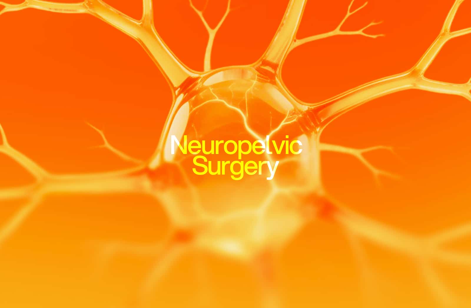 Neuropelvic Surgery Healthcare DD.NYC® | Website Design & Development